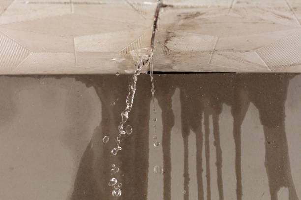 Professional Water Damage Inspection technician working in Jay, FL